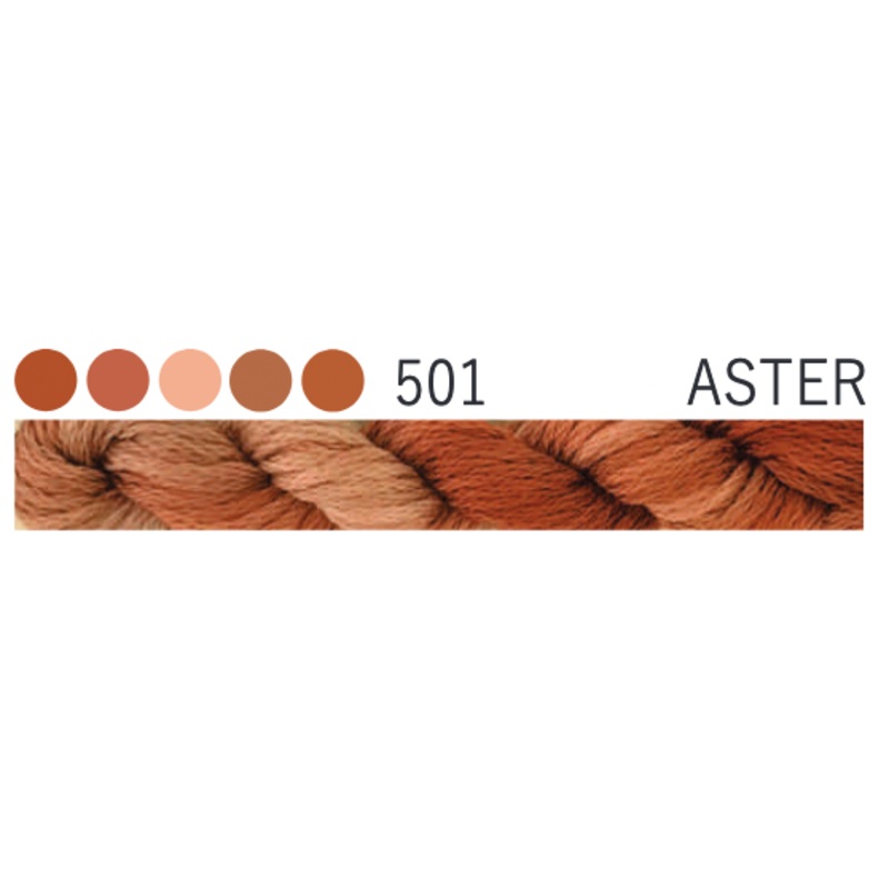 501 ~ Aster
